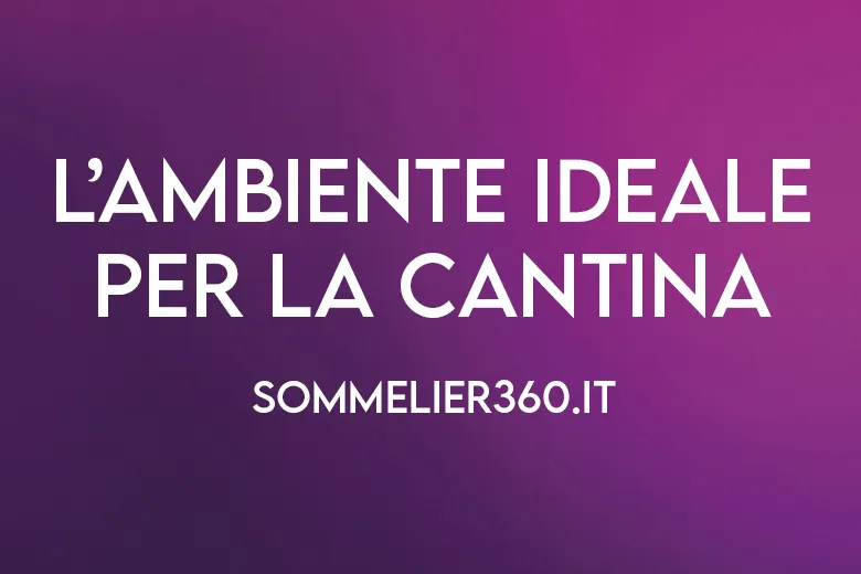 Ambiente ideale della cantina
