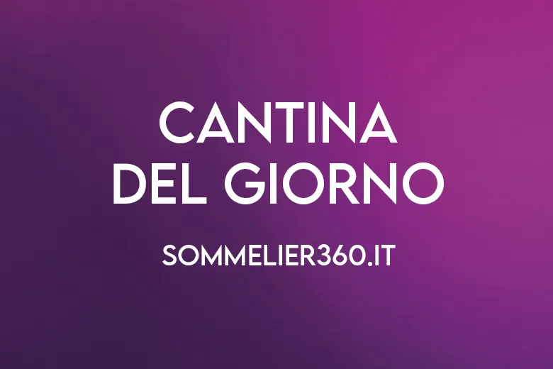 Sommelier: Cantina del giorno